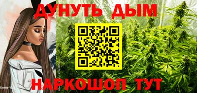 стаф Кандалакша
